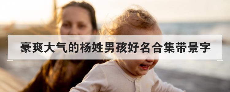 豪爽大气的杨姓男孩好名合集带景字