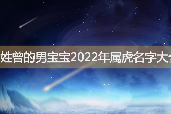 曾姓男孩楚辞起名，姓曾的男宝宝2022年属虎名字大全