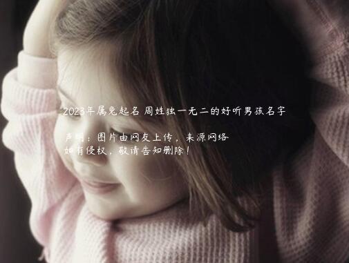 2023年属兔起名 周姓独一无二的好听男孩名字