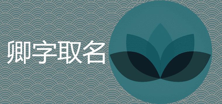 卿字取名寓意好吗
