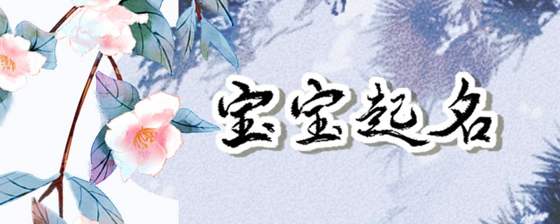 起名字2023起名女孩 借用成语构思法取名
