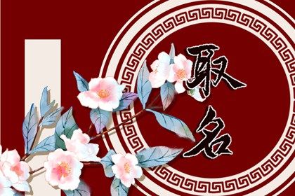 2023年陈姓兔宝宝取名 这样取名福气满满