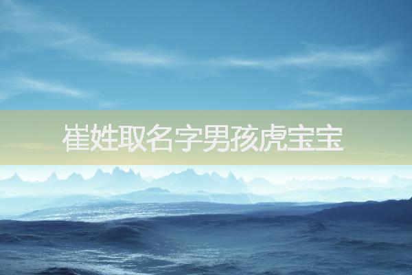 崔姓取名字男孩虎宝宝