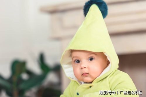 三点水的男孩名字属虎