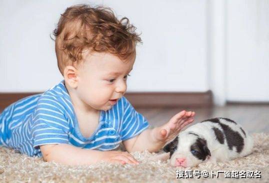 虎宝宝女孩带火取名字最佳字