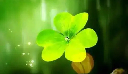 起名字2023免费八字起名2500个