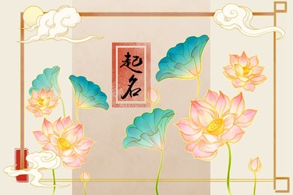 赵姓男宝宝起名属兔2023年?男孩属兔起名大全