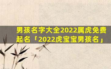 男孩名字大全2022属虎免费起名「2022虎宝宝男孩名」