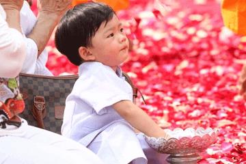 好听的杨姓男孩名字大全2022之网友问答