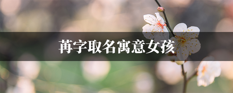 苒字取名寓意女孩