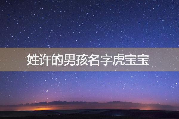 姓许的男孩名字虎宝宝