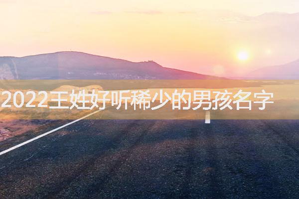 2022王姓好听稀少的男孩名字