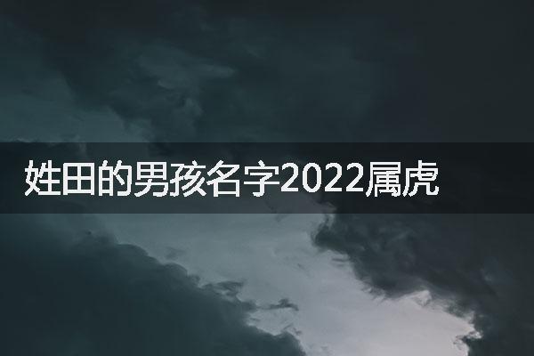 姓田的男孩名字2022属虎