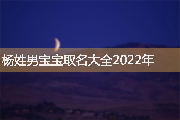 杨姓男宝宝取名大全2022年