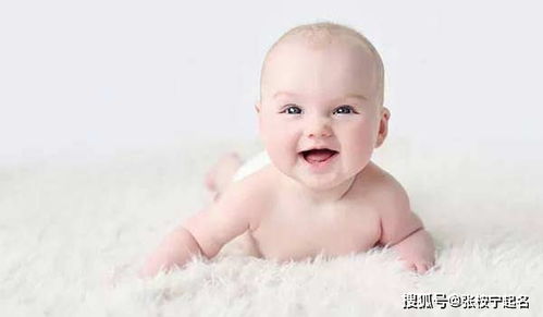 带三点水的名字男孩虎宝宝