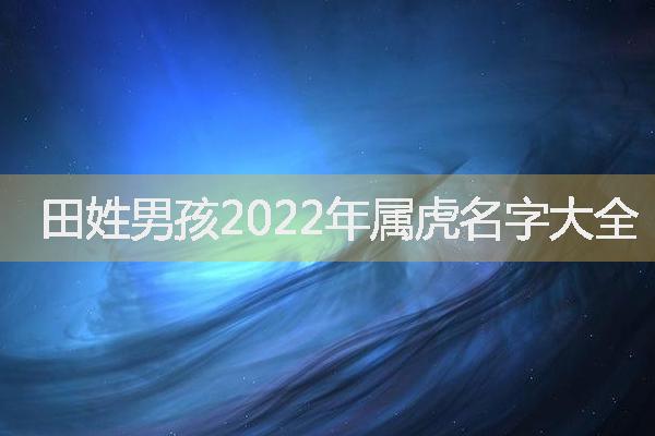 姓田男孩周易起名，田姓男孩2022年属虎名字大全