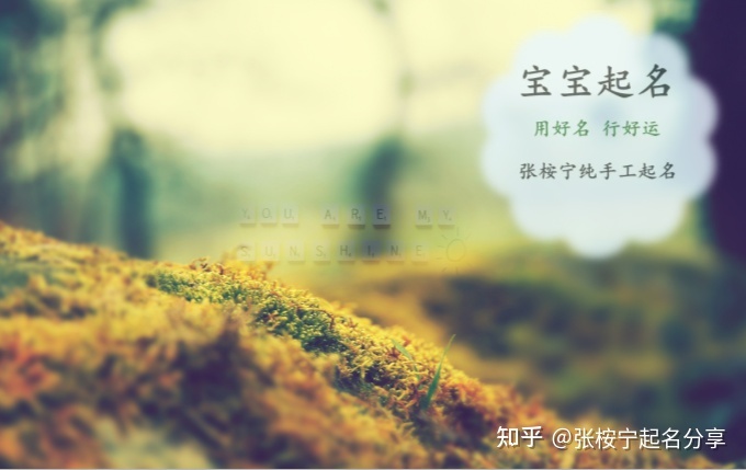 寓意宝宝一生大富大贵的名字