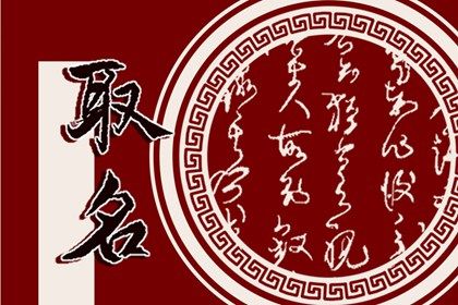 2023年兔宝宝小名 可爱聪明的名字