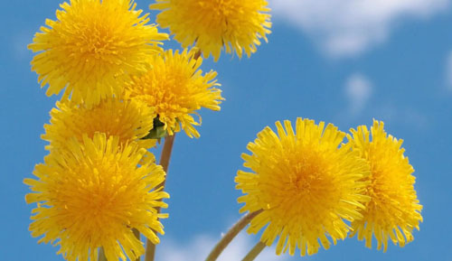 刘姓好听稀少的男孩名字850个