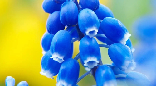 起名字大全男孩生辰八字起名精选1900个